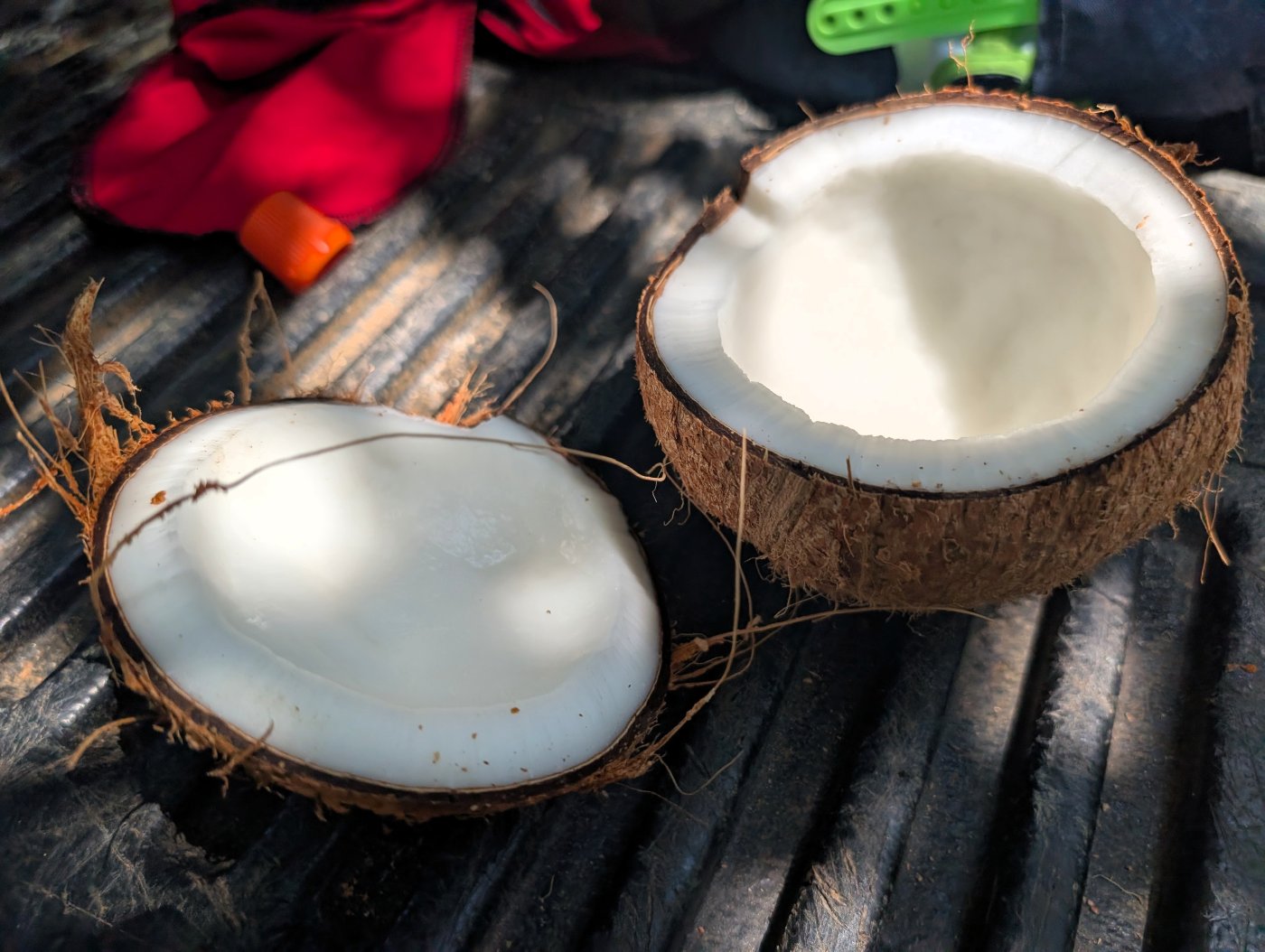 Two coconuts split open with the white flesh exposed, resting on a metal grate at the campsite in Zipolite